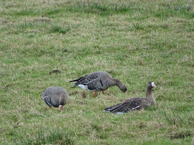 为什么吸引 为什么吸引